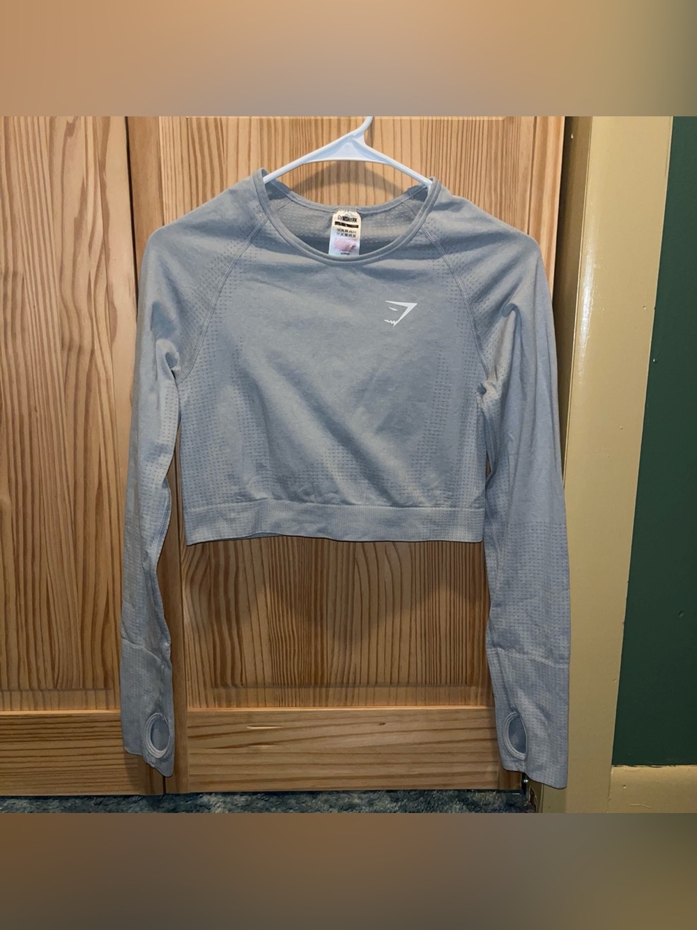 Gymshark Pale Gray Cropped Long Sleeve Top